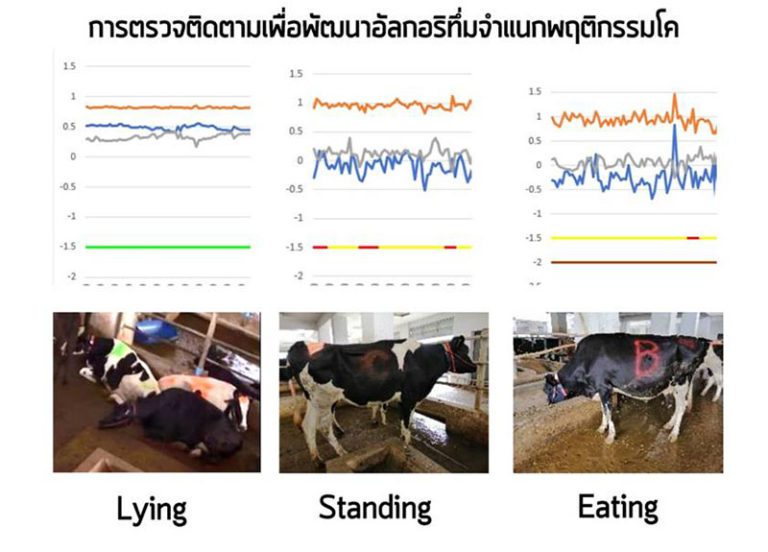 โครงการพัฒนาอัลกอริทึมบริหารจัดการฟาร์มโคนม