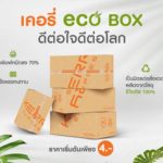 เคอรี่ เอ็กซ์เพรส ชวนใส่ใจโลก รับ Earth Day  ด้วยกล่อง Eco Box