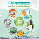 นักวิชาการหนุนจัดตั้ง PRO แห่งชาติตามหลัก EPR จัดการบรรจุภัณฑ์ใช้แล้วอย่างยั่งยืน