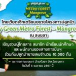 ไทยเวียตเจ็ทเตรียมขยายโครงการปลูกป่า ‘Fly Green Metro Forest – Mangrove’ สู่สงขลา