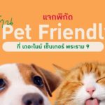 เดอะไนน์ เซ็นเตอร์ พระราม 9 ตอบรับกระแส Pet Friendly เชิญชวนคุณพ่อ คุณแม่ พาน้องสัตว์เลี้ยงมาเดินเล่น