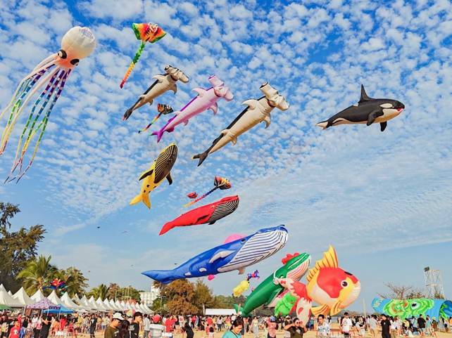 Kite on the Lake